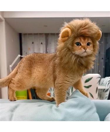 Shop Lion Mane Caps & Costumes - Perfect for Easter Festival Party & Pet Wings - Buy Online on GoSupps.com