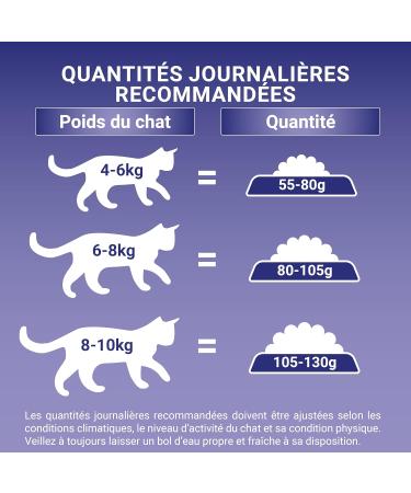 PURINA ONE Bifensis Special Indoor Sterilized Cat | Trout and Whole Grain Dry Food for Adult Cats | 3kg Bag - Buy Online on GoSupps.com