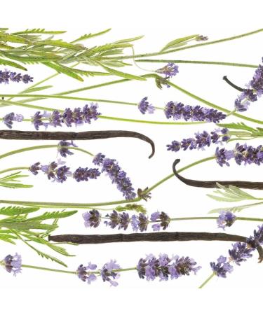 Primavera Regenerating Hand Cream - Organic Lavender & Vanilla | 50 ml | Buy Internationally - Buy Online on GoSupps.com