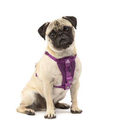 Kurgo Tru-Fit Dog Harness Crash Tested Car Seat Belt For Dogs 2-5 kg Size S Purple Purple S