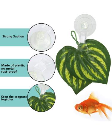 SLSON 4 Pack Fish Veggie Seaweed Suction Cup Clip Feeding Tool for Aquarium - Buy Online on GoSupps.com
