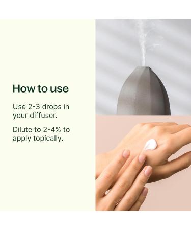Buy Plant Therapy Organic Rosemary Essential Oil - 100% Pure USDA Certified Undiluted Aromatherapy - 10 mL - International Shipping Available - Buy Online on GoSupps.com