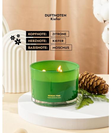 96North Luxury Candles | Kiefer 3-Wick Fragrance Candle | 100% Natural Soy Wax | 40-Hour Burn Time | Perfect Wedding Day Gifts | Nordic Pine Scent - Buy Online on GoSupps.com