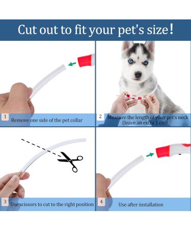 Coolzon LED Luminous Dog Collar - Waterproof & Adjustable with 3 Light Modes for Small & Medium Pets - Super Bright Red - Buy Online on GoSupps.com