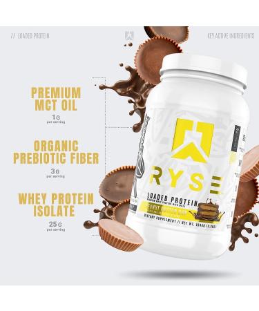 Ryse Core Series Loaded Protein | Chocolate Peanut Butter Cup | 25g Whey Protein | Prebiotic Fiber & MCTs | Low Carb & Sugar | 27 Servings - Buy Online on GoSupps.com