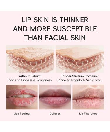 Cherry Blossoms Lip Mask Hydrating Lip Treatment Moisturizing Restorative Reduces Fine Lines Nourishing Lip Balm - Flaky Lips. Plumps Softens and Smooths Lip Sleeping Mask Lip Care - Buy Online on GoSupps.com