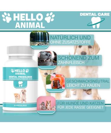 HelloAnimal Dental Pressing for Dogs & Cats | Tartar Remover & Dental Care Treats | Freshens Breath & Cleans Teeth - Buy Online on GoSupps.com