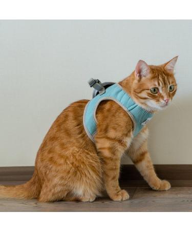 Belffy Cat Dishes & Leash Set - Automatic Leash for Cats Kittens & Dogs | Outbreak-Proof Jacket for All Sizes - Small Blue - Buy Online on GoSupps.com