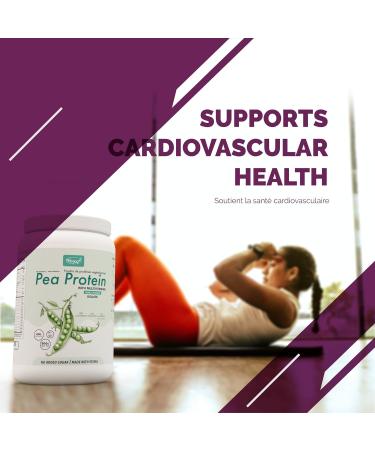 VORST Pea Protein Powder with Multivitamins 900G Vanilla Flavour | Made in Canada | 1 Jar - Buy Online on GoSupps.com