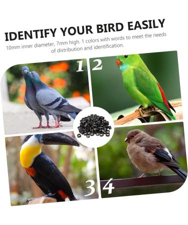 BESPORTBLE 200 Pcs Pigeon Anklet Chicken Legs Pigeon Bands Numbered Poultry Leg Ring Baby Split Ring to Open 1.3X1.3CMx2pcs Blackx2pcs - Buy Online on GoSupps.com