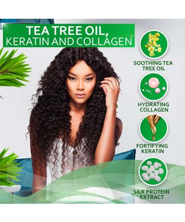 Tea Tree Oil Shampoo - Sulfate & Paraben Free Collagen & Keratin Enriched - Anti-Dandruff Ideal for Oily Hair Salon Quality Treatment for Men & Women - Buy Online on GoSupps.com
