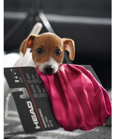 Head Original Tube Plain Scarf - Unisex Multifunctional Winter Bandana for Skiing Cycling & UV Protection - Black - Buy Online on GoSupps.com