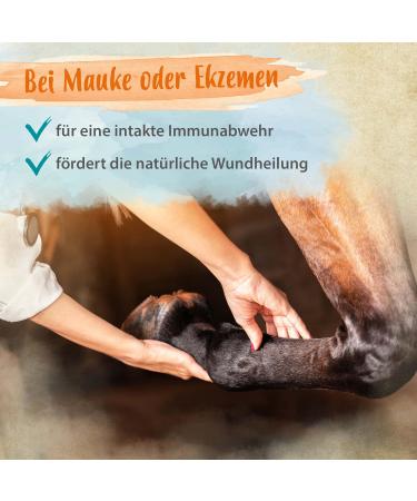 Ida Plus Biotin & Zinc for Horses - High-Dose Supplement for Hoof Quality Skin Fur & Immune Support - 750g - Premium Comparison Winner - Buy Online on GoSupps.com
