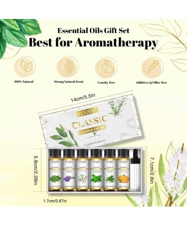EUQEE Essential Oils Set - Lavender, Eucalyptus, Peppermint, Tea Tree, Sweet Orange, Lemongrass - 100% Pure Therapeutic Grade Aromatherapy Oils for Diffuser - 6 x 10ml White - Buy Online on GoSupps.com
