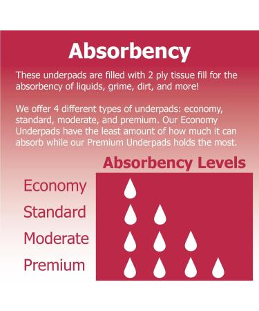 Dealmed Economy Absorbency Medical Underpads 100 Count | 2-Ply Tissue Fill for Pet Pads and Furniture Protection | 17 x 24 Blue Barrier | 1 Pack - Buy Online on GoSupps.com