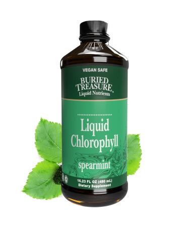 Buried Treasure Liquid Chlorophyll Spearmint 16.23 fl oz (480 ml)