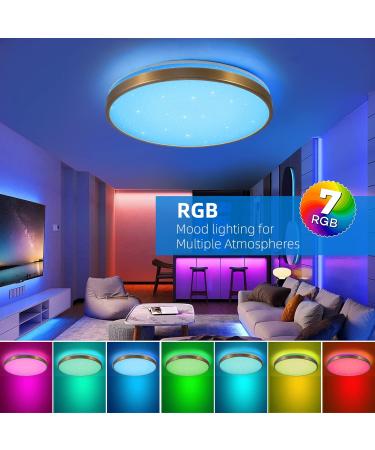 Horevo 30cm Bluetooth Ceiling Lamp - Dimmable & Color-Changing Remote Control 24W Champagne Gold Light & Speaker for Kids Room and Bedroom - Buy Online on GoSupps.com
