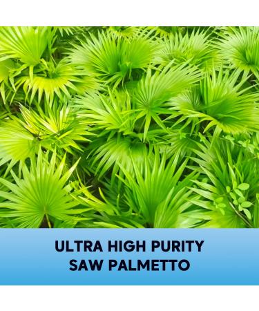 Saw Palmetto for Men with Pygeum Bark & Beta-Sitosterol - Prostate & Urinary Health Support - Non-GMO & Gluten-Free - 60 Ct - Buy Online on GoSupps.com