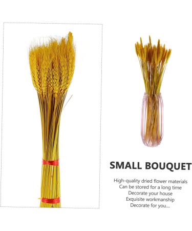 HOMSFOU 100pcs Dried Wheat Ears Bouquet Decor Wedding Wheat Ear Wheat Stalk Natural Wheat Ear Dry Flowers Home Wheat Ear Flowers Wheat Ear Dried Flowers. Rural Real Flower Yellow 52X10CM - Buy Online on GoSupps.com