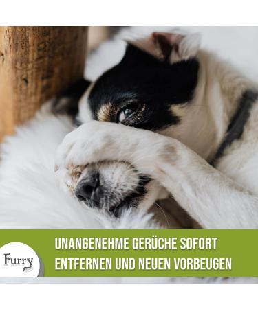 Furry Dental Spray for Dogs & Cats - 100ml | Fresh Breath Tartar Prevention & Mole Smell Control | Vegan & Aloe Vera Formula - Made in Germany - Buy Online on GoSupps.com