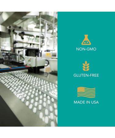 Chocolate Whey Protein Isolate Powder Low Carb Supplement for Men & Women - Support Muscle Growth Nutrition Fitness & Weight Management - Filler & GMO Free 25 g 30 Servings Chocolate 2.43 Pound (Pack of 1) - Buy Online on GoSupps.com