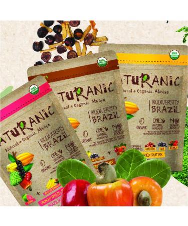 Naturanic Organic Freeze Dried Fruit Snacks - No Sugar Added, Vegan, Gluten Free, Non-GMO - 0.9 oz/pack (Pack of 6) - Buy Online on GoSupps.com