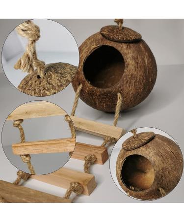Hanging Bird House with Ladder | Natural Coconut Fiber Shell Nest for Parrots, Parakeets, Lovebirds, Finches, and Canaries | Bird Swing Toy for Hamsters | Pet Bird Cage Accessories - Buy Online on GoSupps.com