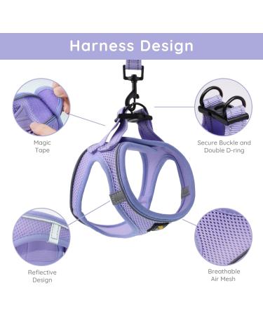 Bella & Pal Small Dog Harness with Leash - Air Mesh Reflective Breathable for Puppies & Cats - Lavender (S S 35-40cm) - Buy Online on GoSupps.com