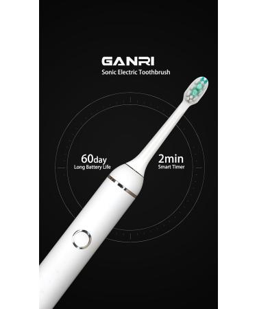 Buy NST005W Sonic Rechargeable Electric Toothbrush - 5 Modes IPX7 Waterproof White | International Shipping Available - Buy Online on GoSupps.com
