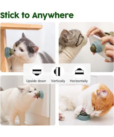 Potaroma 3 Silvervine Catnip Balls - Edible Kitty Toys for Safe & Healthy Teeth Cleaning | Cat Wall Treats Gray - Buy Online on GoSupps.com