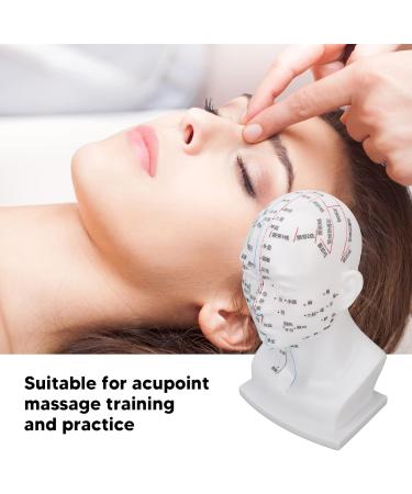 Acupuncture Point Head Model - 11.8 Inch PVC Facial Massage Meridians for Teaching & Learning - International Shipping Available - Buy Online on GoSupps.com