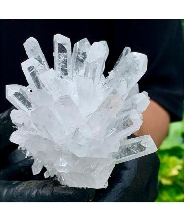 Natural White Phantom Quartz Crystal Cluster Samples Home Office Decoration Crystal Cluster (Size : 480-500) - Buy Online on GoSupps.com