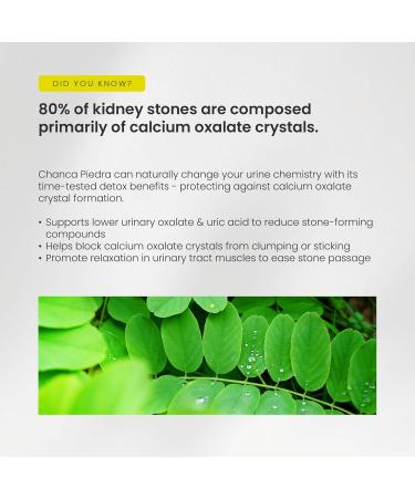 Chanca Piedra Stone Breaker Kidney Stone Dissolver Support & Gallbladder Cleanse Supplement Calcium Oxalate Balance & Detox for Urinary Tract 20 000 mg Equivalent Supplement with Nettle Leaf 180 Count (Pack of 1) - Buy Online on GoSupps.com