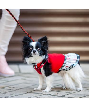 Tibapla Double Dog Leash - Reinforced Padded Handles for Small to Large Dogs - Healing & Training - 10mm x 140cm (Red) - International Shipping - Buy Online on GoSupps.com