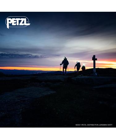 Petzl Tikka CORE Headlamp - Rechargeable 450 Lumens - Red Lighting for Hiking, Climbing, Camping - Grey - Buy Online on GoSupps.com