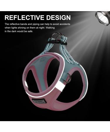 Doramio Dog Harness for Small Dogs - Reflective Breathable Step-In Design with Leash - Anti-Train Safety Harness for Cats & Dogs (L Pink/Blue) - Buy Online on GoSupps.com