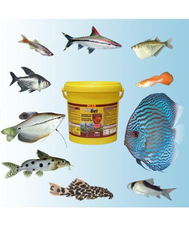 JBL Complete Food for All Aquarium Fish - 10.5L Flakes NovoBel Perfect for 3-20 cm Fish Size - International Shipping Available - Buy Online on GoSupps.com