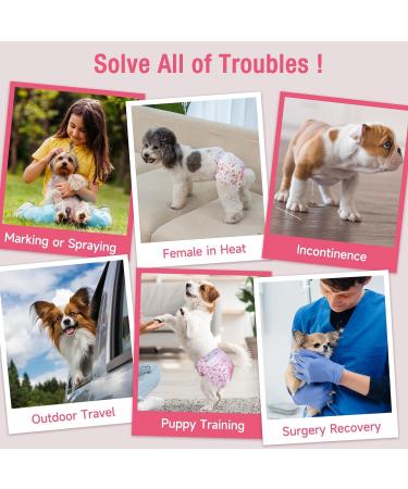 Soft Disposable Dog & Cat Diapers - 20 Pack High-Suction Adjustable Trousers for Bitches - Buy Online on GoSupps.com