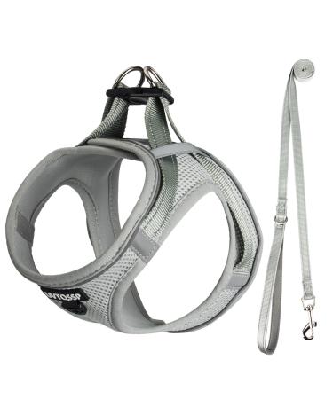UVTQSSP Dog Harness Small Dogs with Leash Padded Puppy Harness Dog Harness Dog Harness Small Gray MM Gray - Buy Online on GoSupps.com