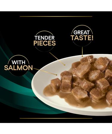 PRO PLAN VETERINARY DIETS EN Gastrointestinal Wet Cat Food Salmon 10 pack of 85g Chicken 212.5 g (Pack of 4) - Buy Online on GoSupps.com