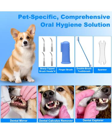 Kit de Nettoyage Tartre Dentaire Ultrasons pour Chien et Chat 5 Modes de Nettoyage et 4 T tes de Nettoyage Kits Dentaires Des Dents Contre Le Tartre pour Chien Chat - Buy Online on GoSupps.com