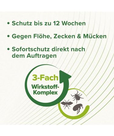 Beaphar Tick & Flea Spot-On for Dogs Over 15kg | 3x2ml Pipets | Protects Against Fleas Ticks & Mosquitoes - 12 Weeks of Immediate Defense - Buy Online on GoSupps.com