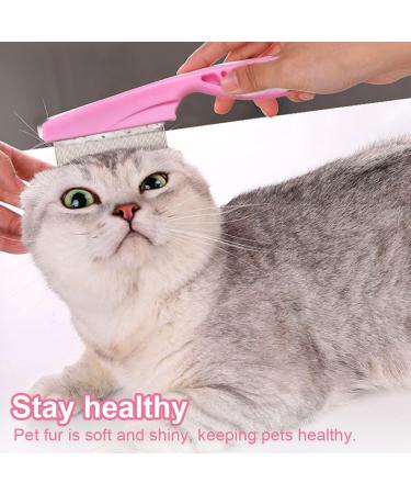 PHCOZY Lice & Flea Comb - Double-Sided Metal & Plastic Nits Comb for Effective Lice Removal - Buy Online on GoSupps.com