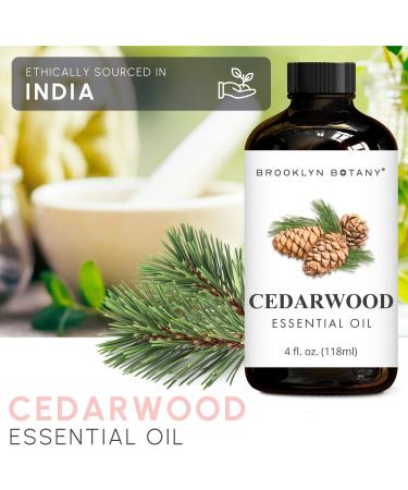 Brooklyn Botany Clove & Cedarwood Essential Oils 4 Fl Oz (Pack of 2) 100% Pure & Natural Spicy & Grounding Aromatherapy Blend - Buy Online on GoSupps.com