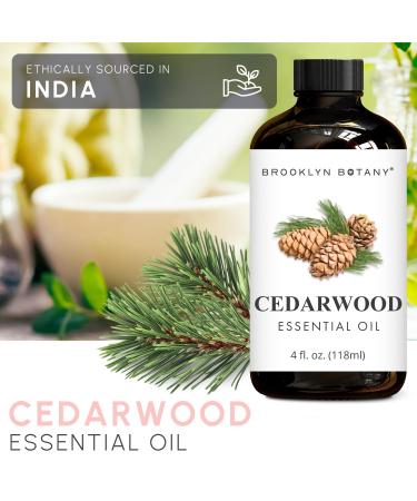 Brooklyn Botany Rosemary & Cedarwood Essential Oils 4 Fl Oz (Pack of 2) 100% Pure & Natural Grounding & Herbal Aromatherapy Blend - Buy Online on GoSupps.com