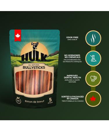 HULK Pet Products 6-inch Bully Sticks for Dogs (Pack of 5) - Low Odour Long Lasting Dog Dental Chew Made of Beef Pizzle Sourced from Grass-Fed Cattle with No Artificial Flavor - Buy Online on GoSupps.com