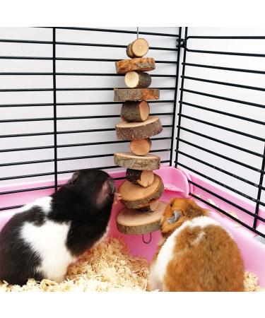 Natural Organic Apple Wood Chew Toys - 2 Pack for Small Animals | Bunny, Chinchilla, Guinea Pigs, Hamsters | Teeth Grinding Snacks - Buy Online on GoSupps.com