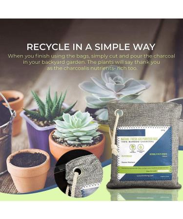 Nature Fresh Air Cleaner Bag - Activated Bamboo Coal Purification | Odor Eliminator for Home | Eco-Friendly Air Fresheners - Buy Online on GoSupps.com