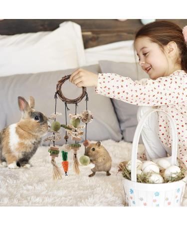 ERKOON Rabbit Hamster Hanging Chew Toys - Applewood Boredom Breaker with Grass Ball and Carrot Treats for Small Pets - Buy Online on GoSupps.com