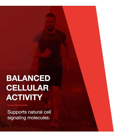Protocol D-Flame Joint Supplement - 90 Veg Caps for Pain Relief & Mobility | International Shipping Available - Buy Online on GoSupps.com